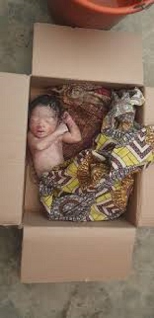 Newborn found dead inside carton